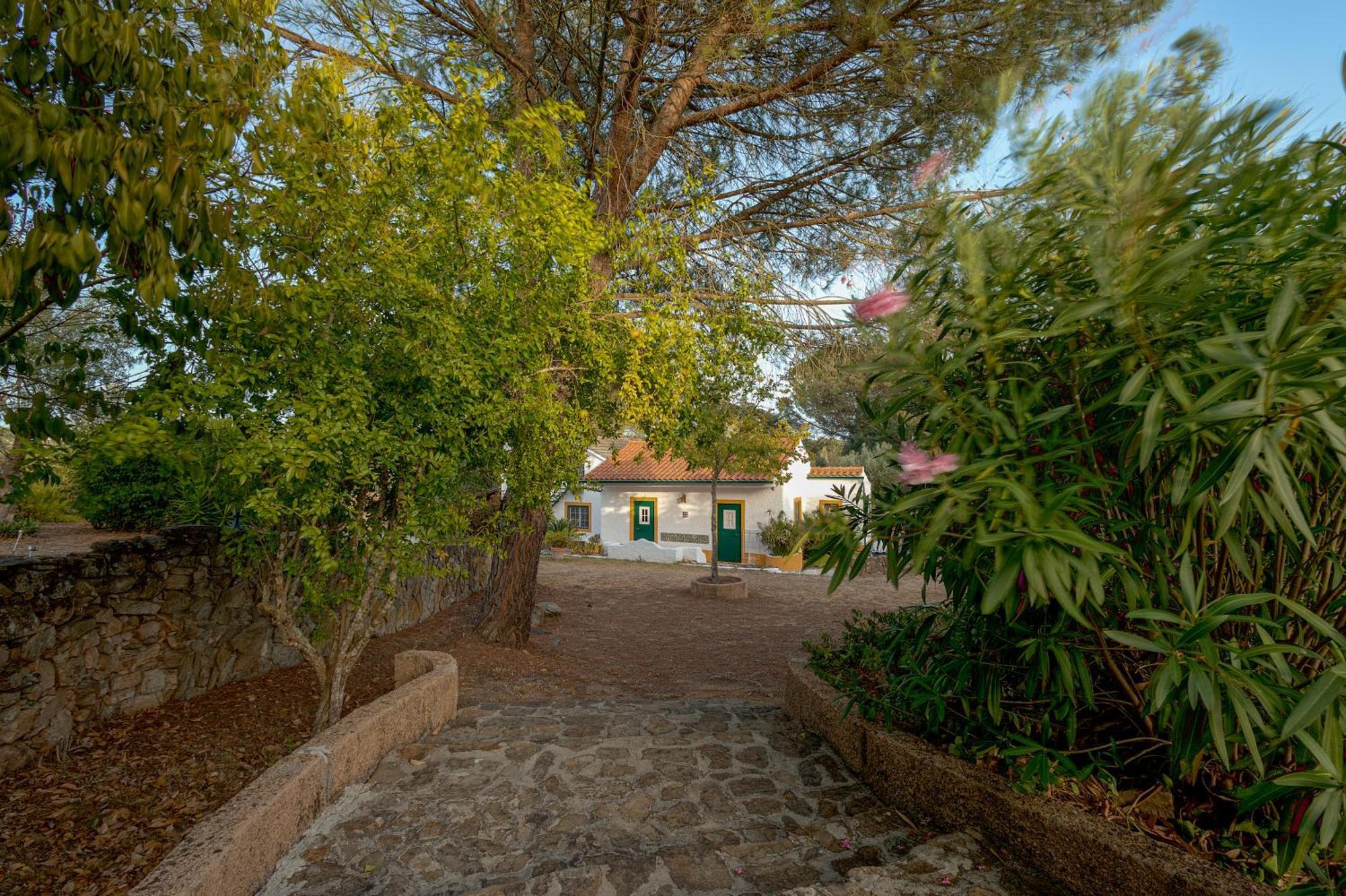 Casa Do Vale Villa Sao Pedro de Tomar Екстериор снимка