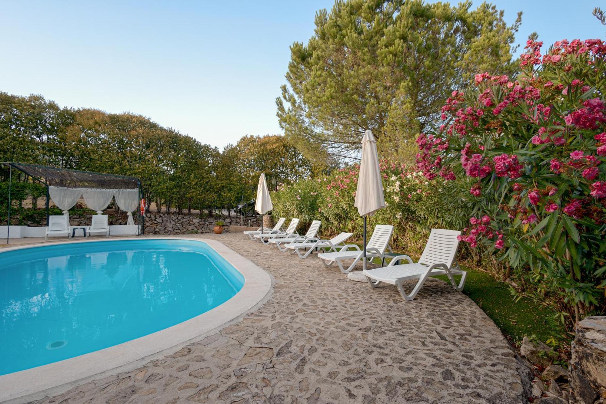 Casa Do Vale Villa Sao Pedro de Tomar Екстериор снимка