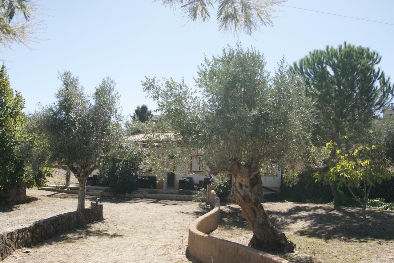 Casa Do Vale Villa Sao Pedro de Tomar Екстериор снимка