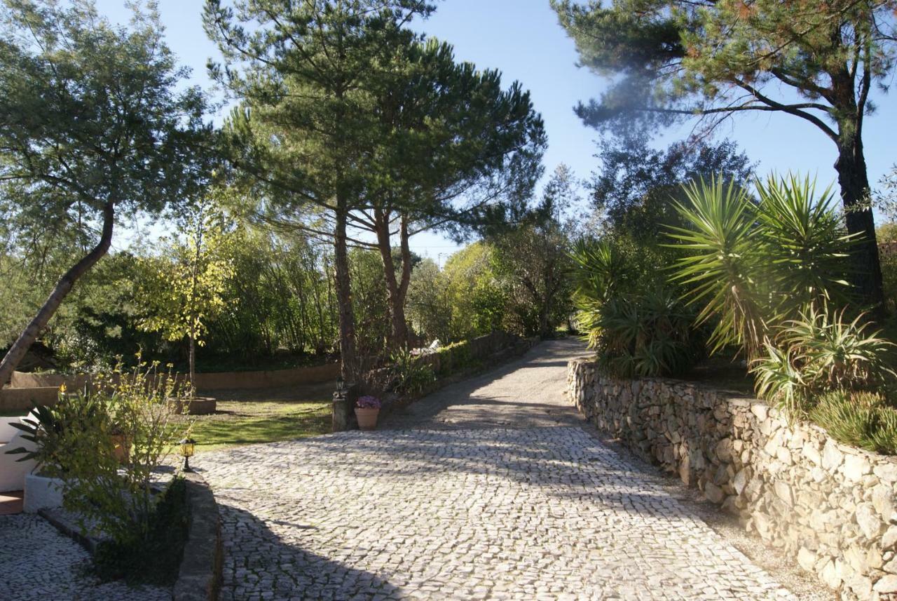Casa Do Vale Villa Sao Pedro de Tomar Екстериор снимка