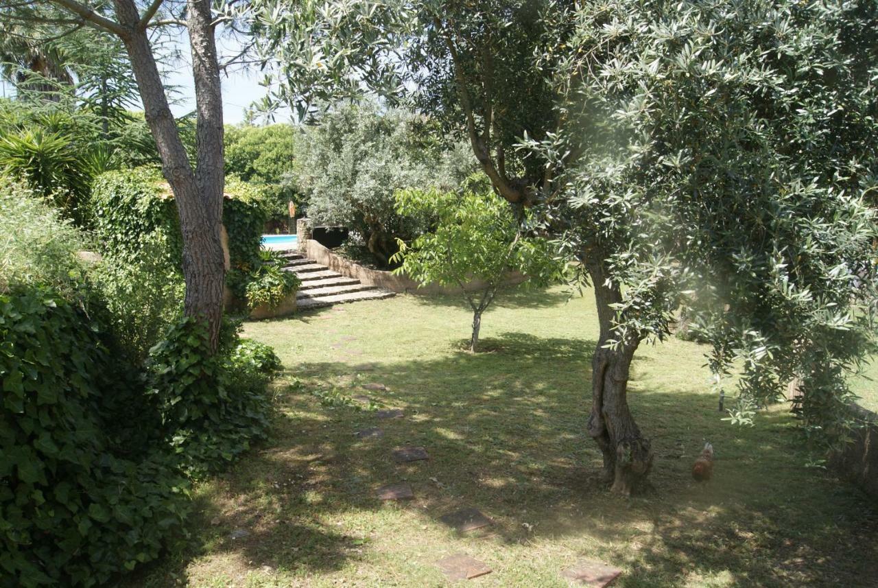 Casa Do Vale Villa Sao Pedro de Tomar Екстериор снимка