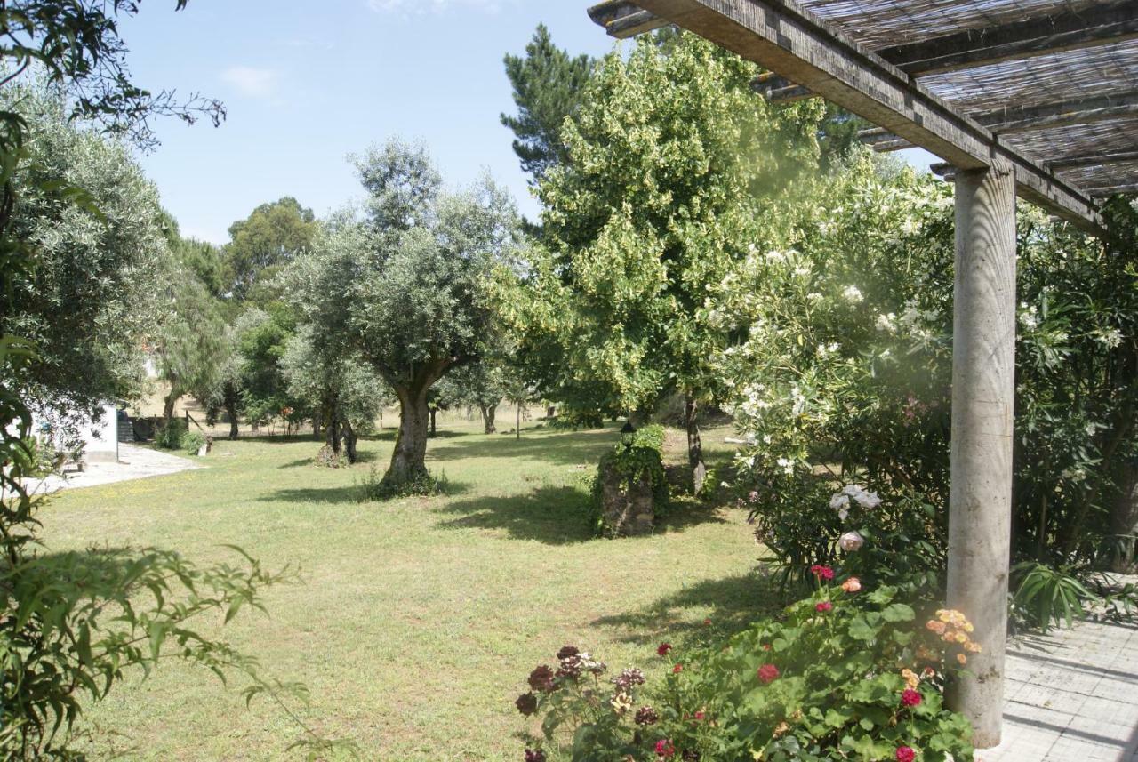Casa Do Vale Villa Sao Pedro de Tomar Екстериор снимка